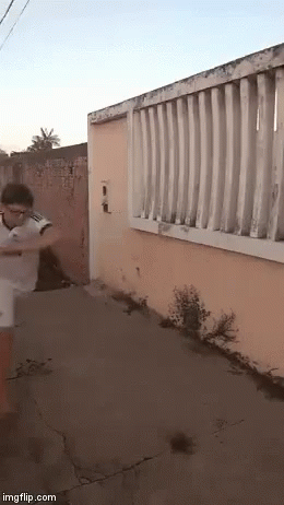 1000149153.gif