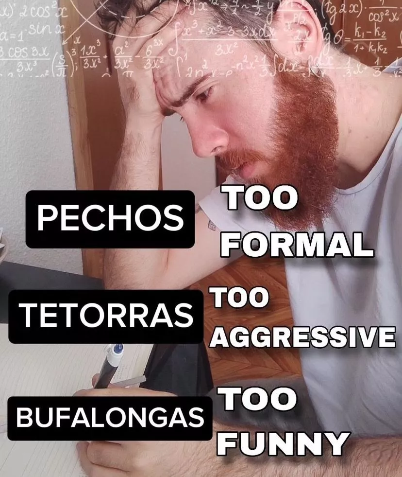 1000151278.jpg