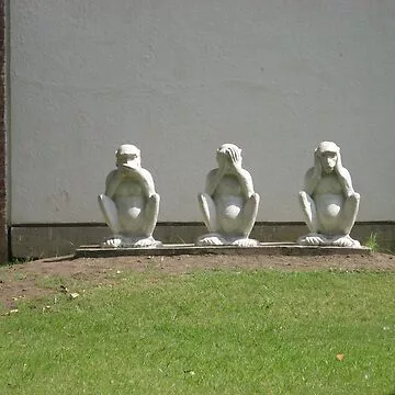 1000152713.webp