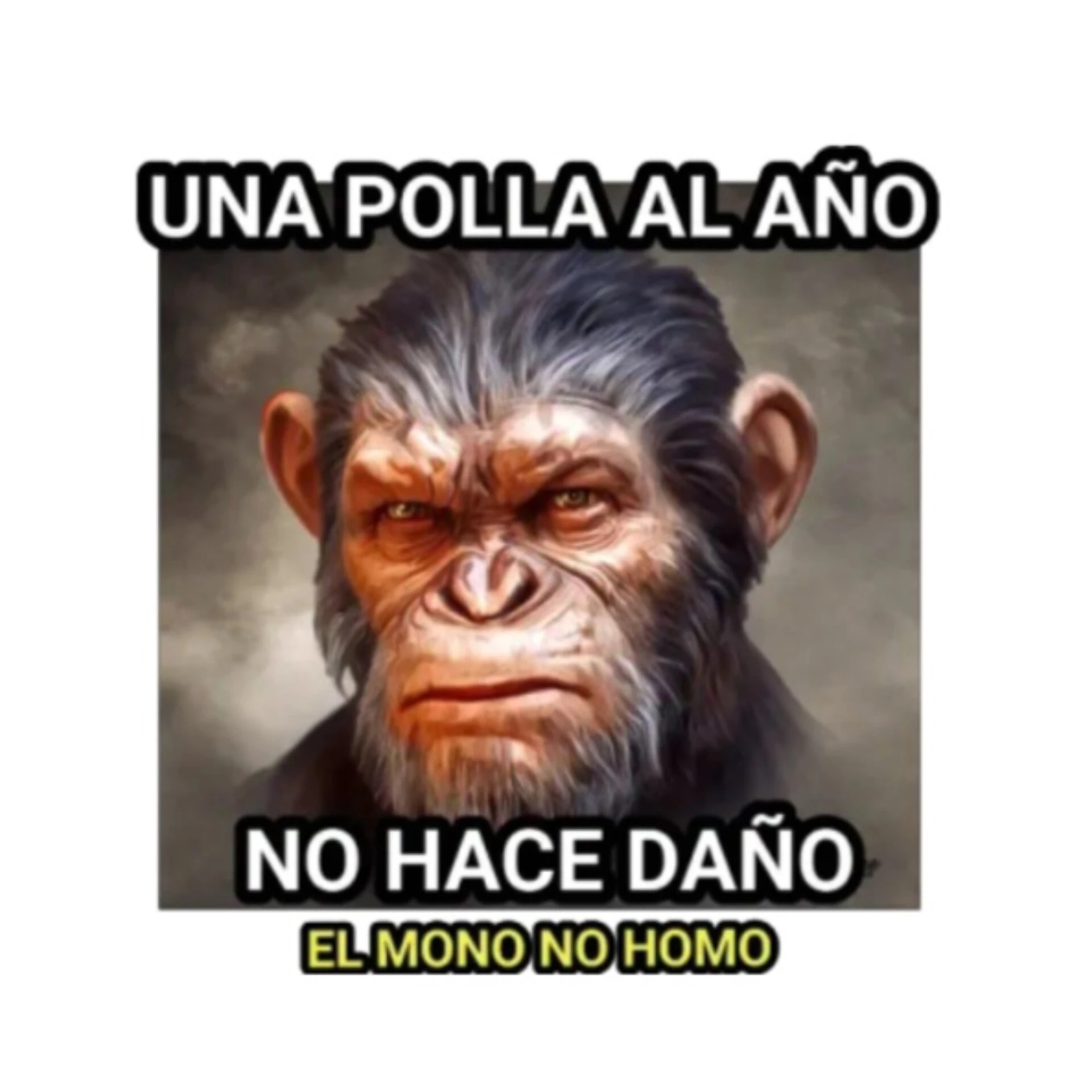 1000186279.webp