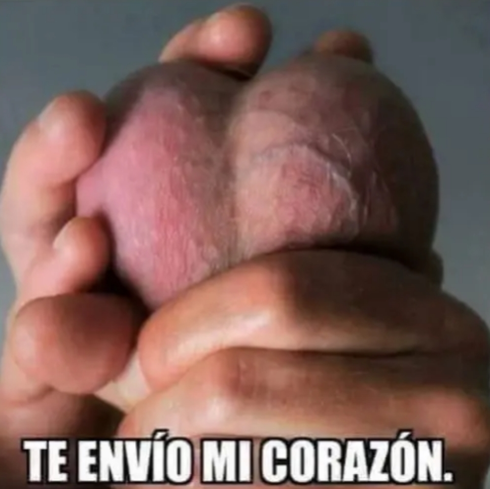 1000201463.webp