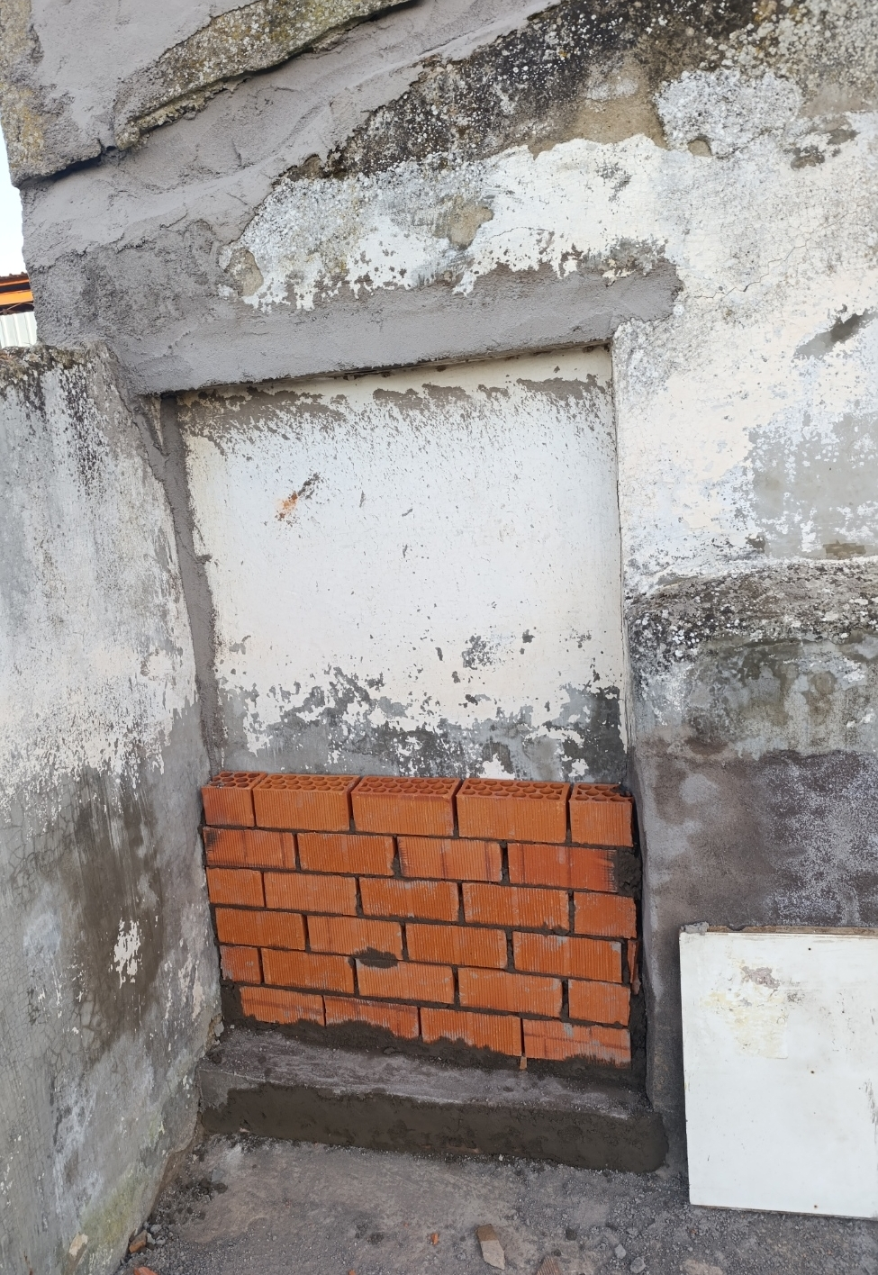 1000214407.webp