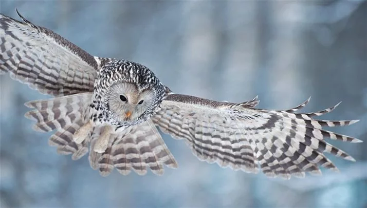 1000231866.webp