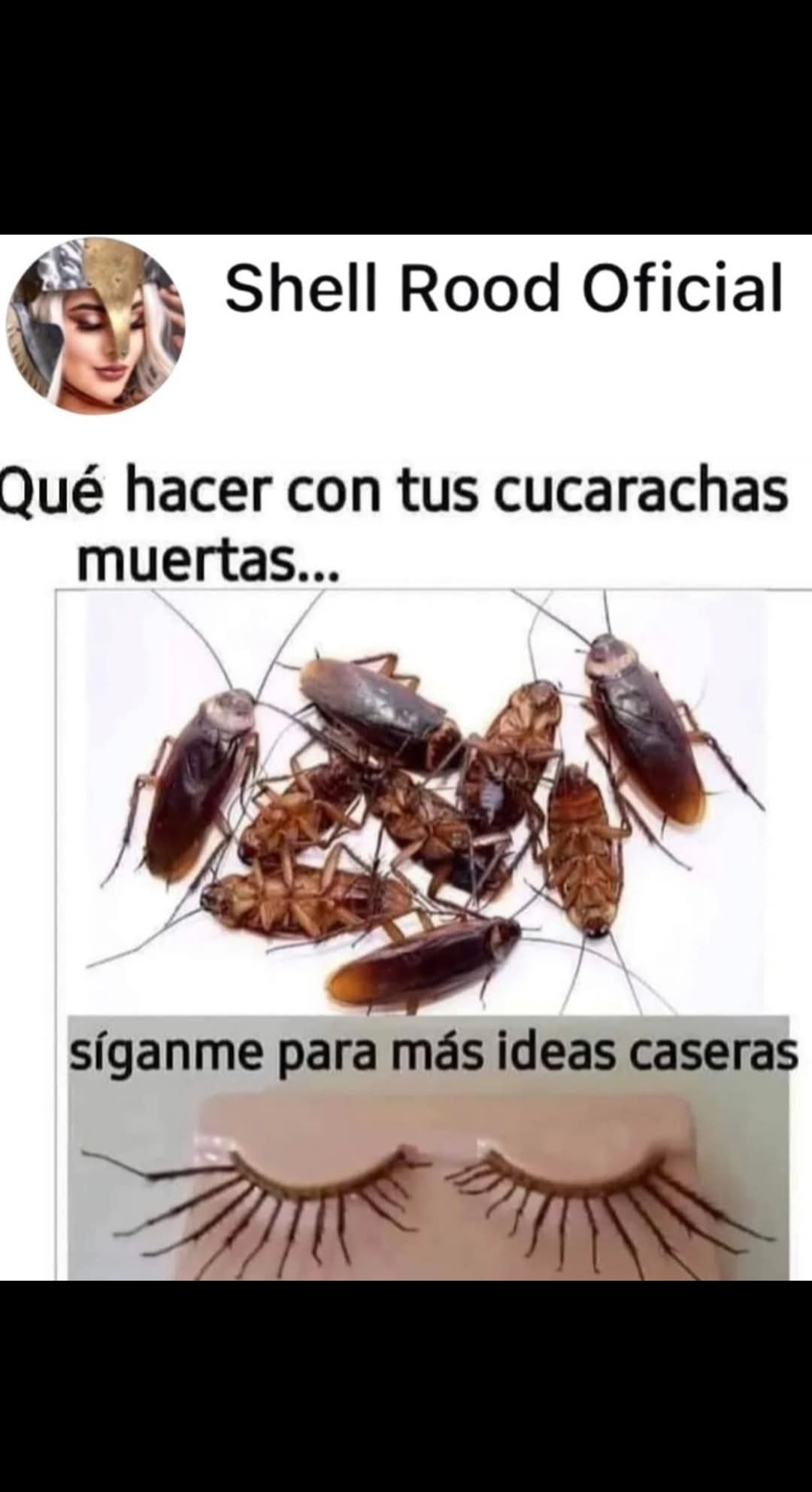 1000268288.webp