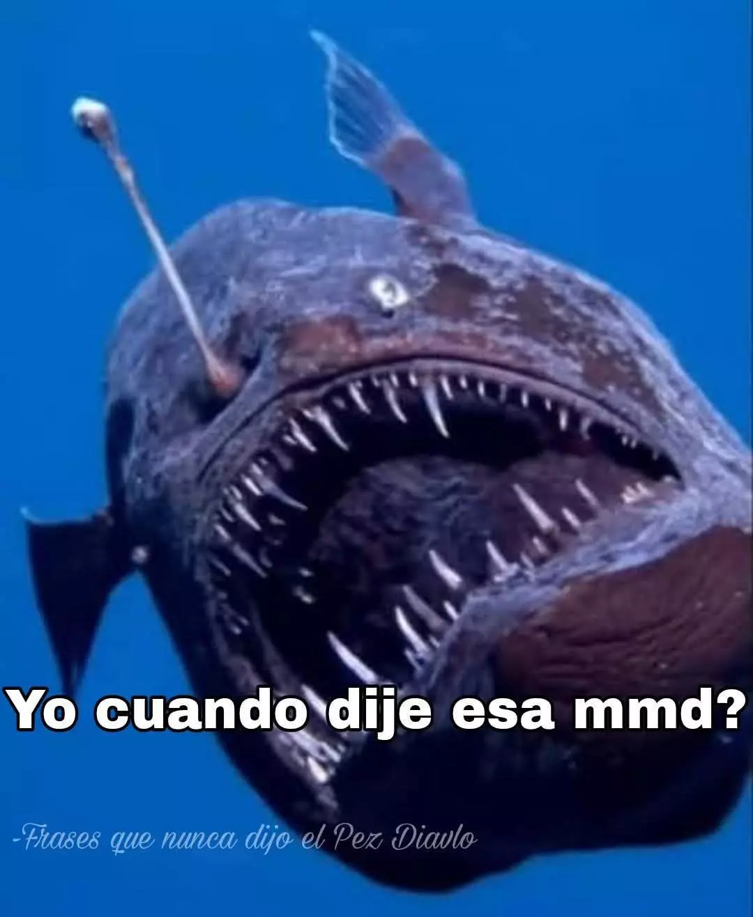 1000295572.webp