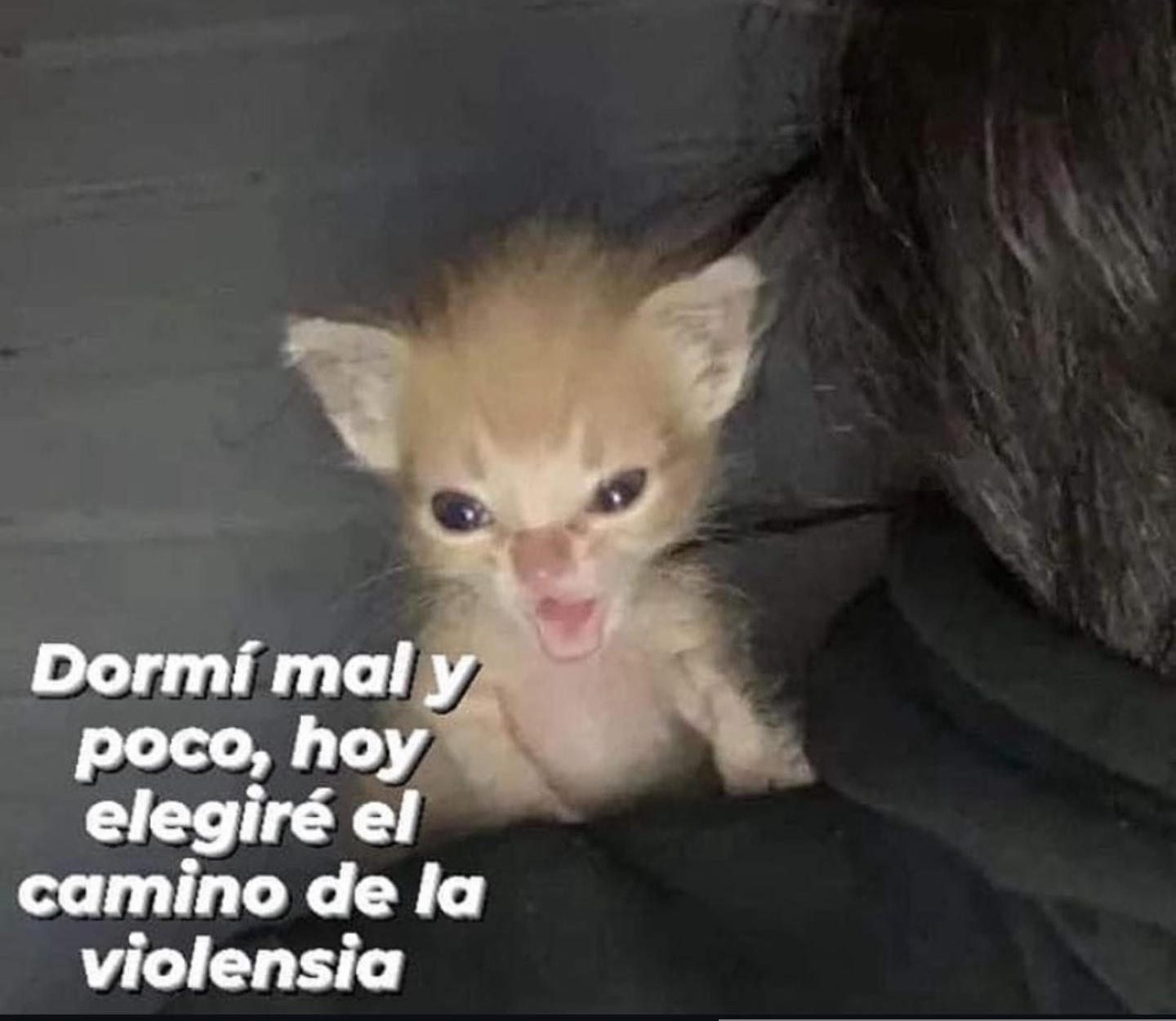 1000367949.webp