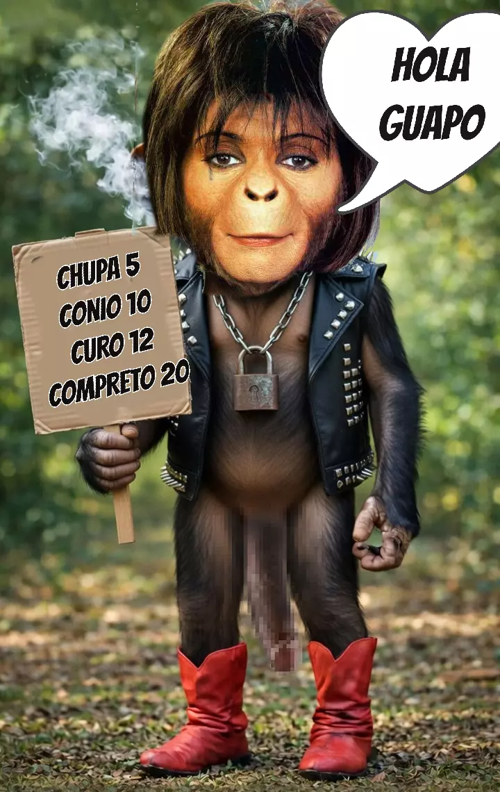 1000378685.webp