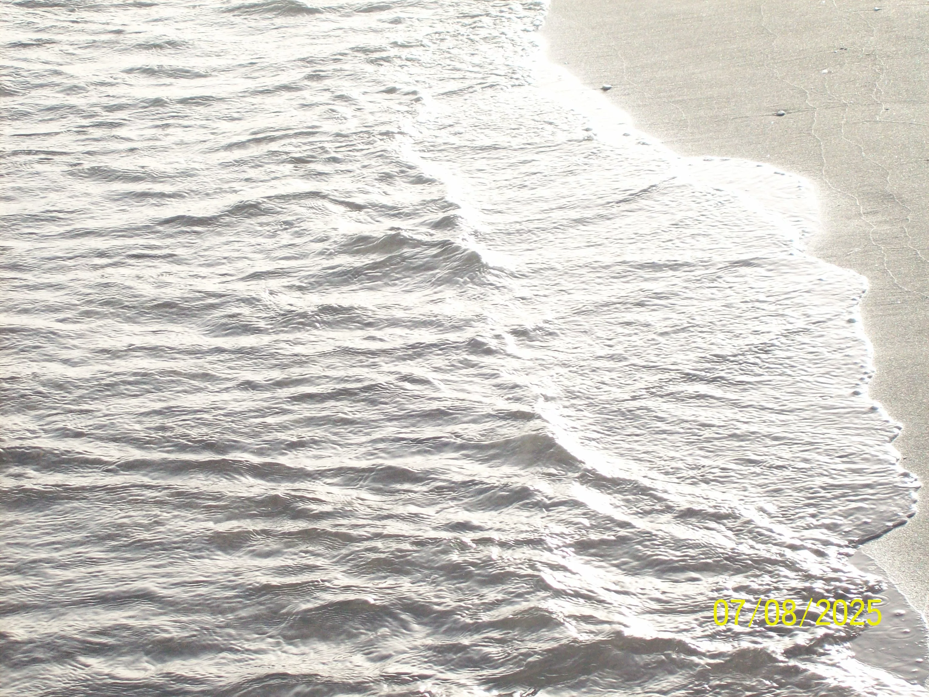 100_0251.webp