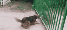 10838.gif