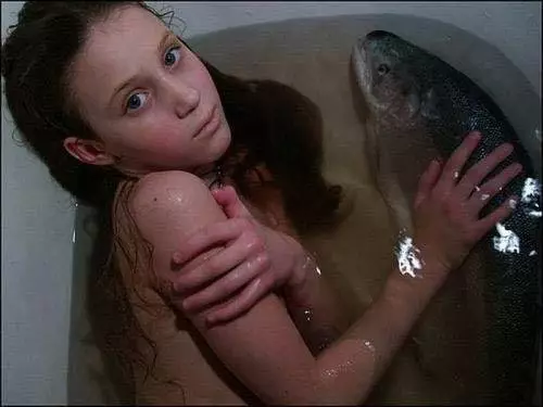163.webp