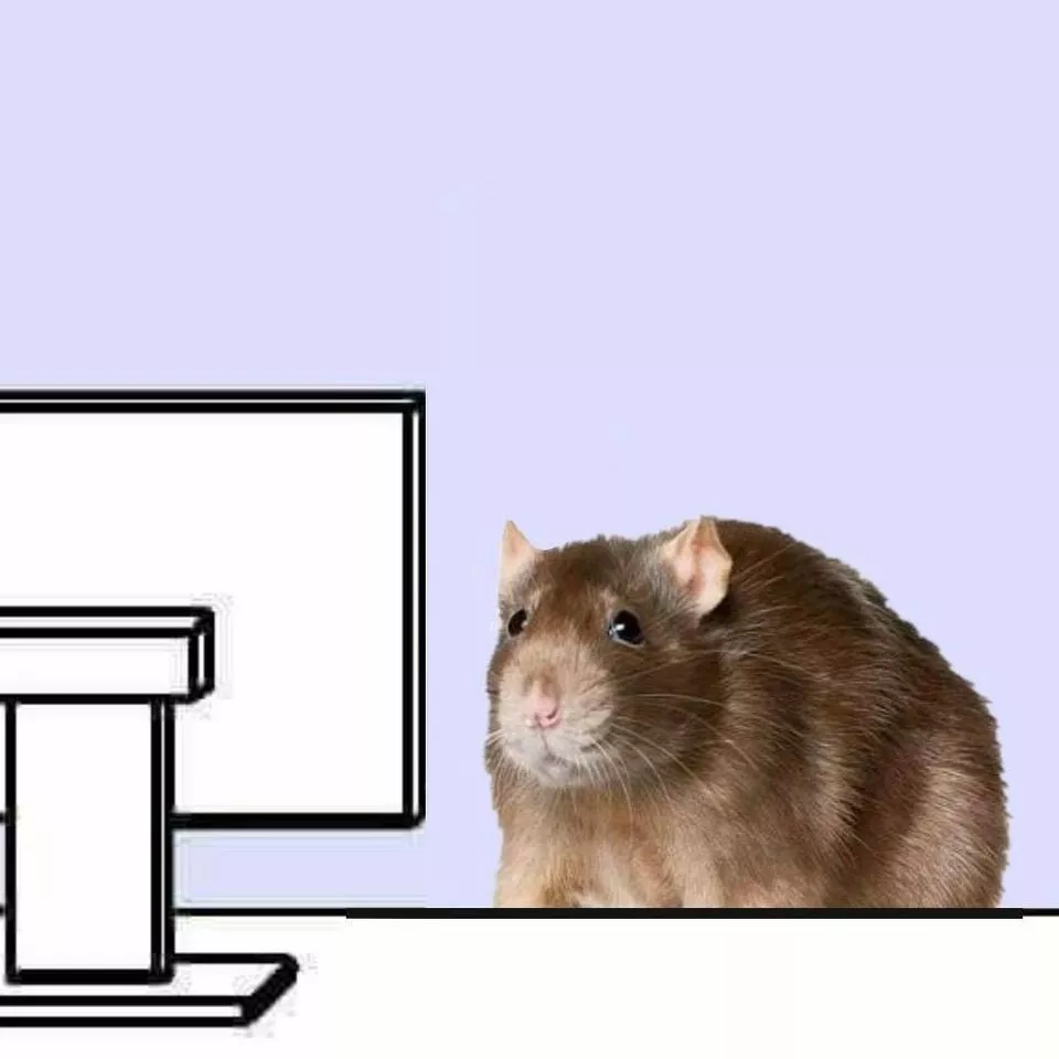 1664308270278581.webp