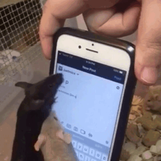 1665890760323998.gif