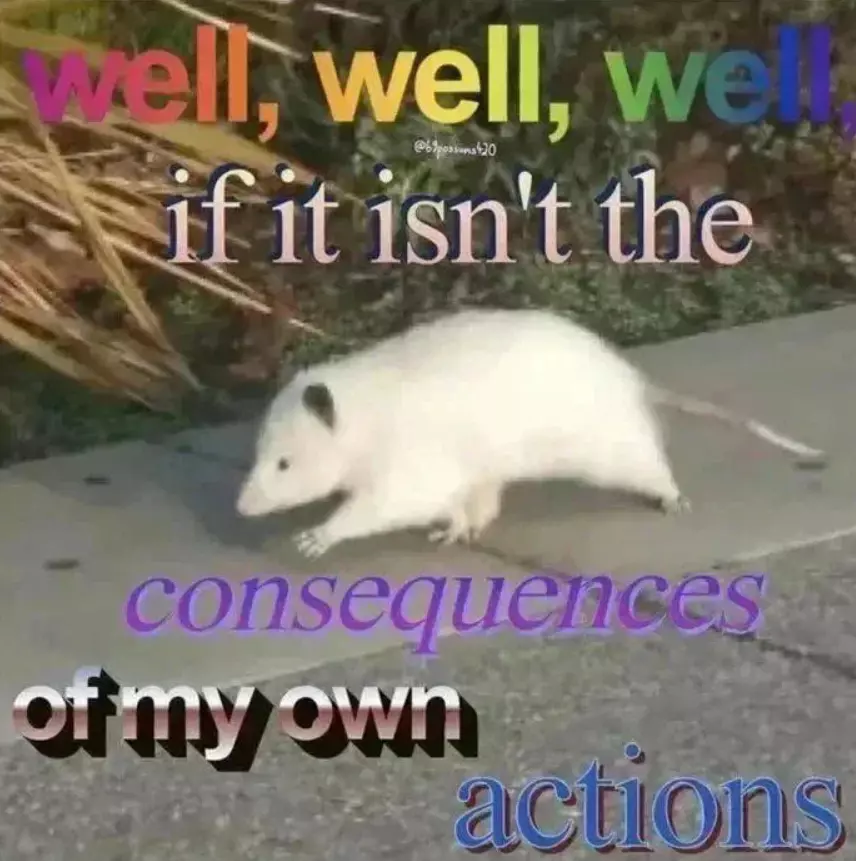 1678829753201893.webp