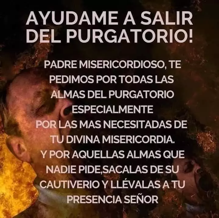1688542739226.webp