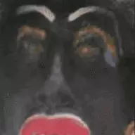 1689315952298.webp