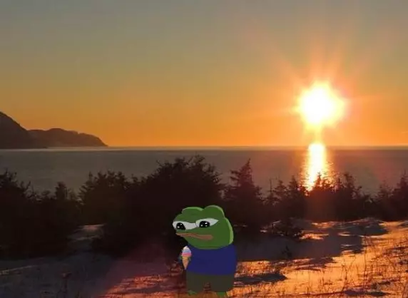 1689618440534.webp