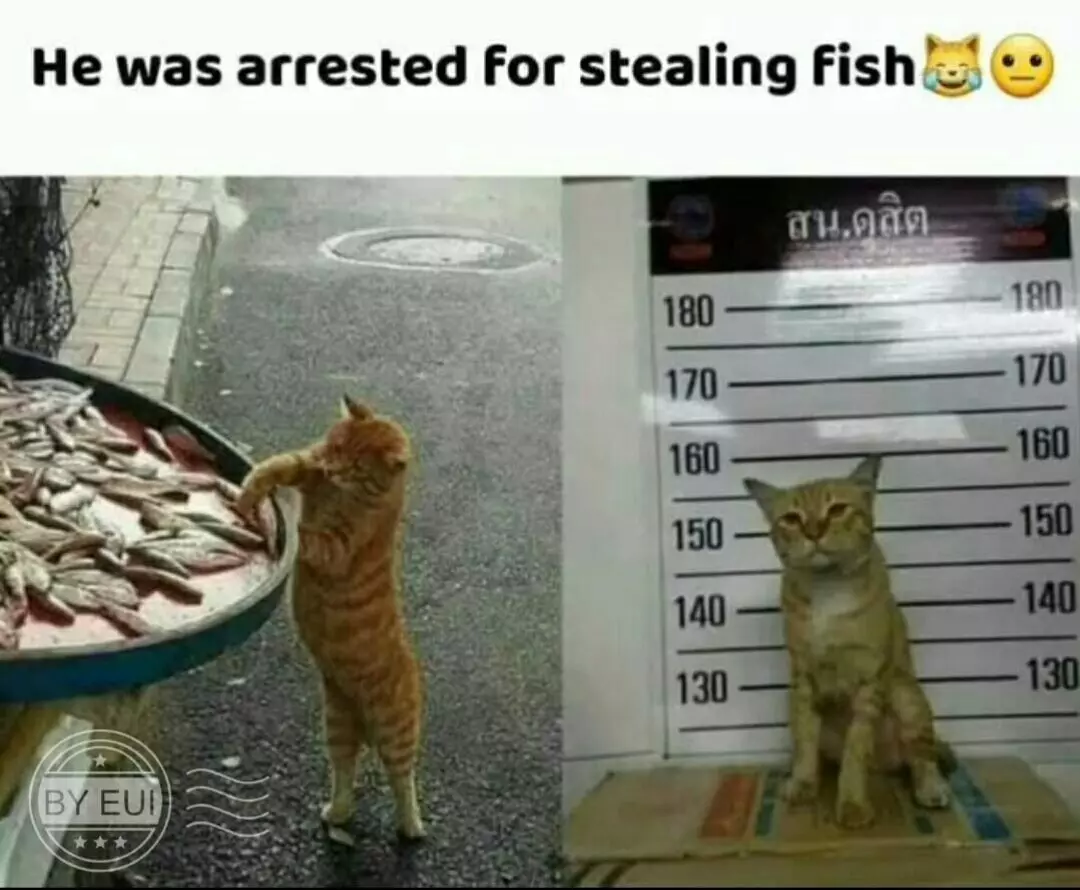 1691299203003371.webp