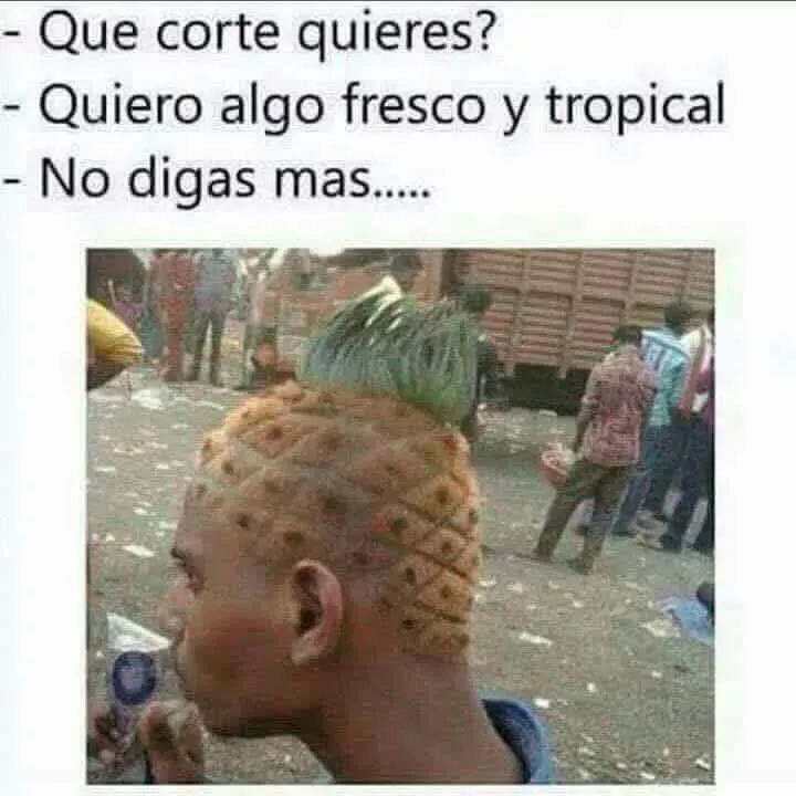 1692554082866.webp