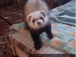1693963136966961.gif