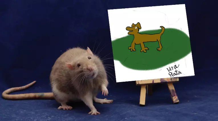 1695049604633.png