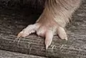 1695669094855.webp