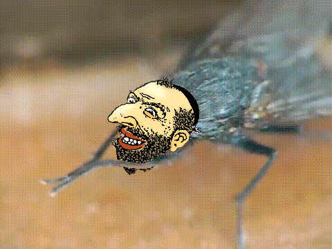 1695879746697933.gif