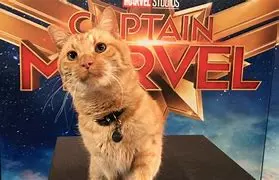 Resultado de imagen de marvel goose