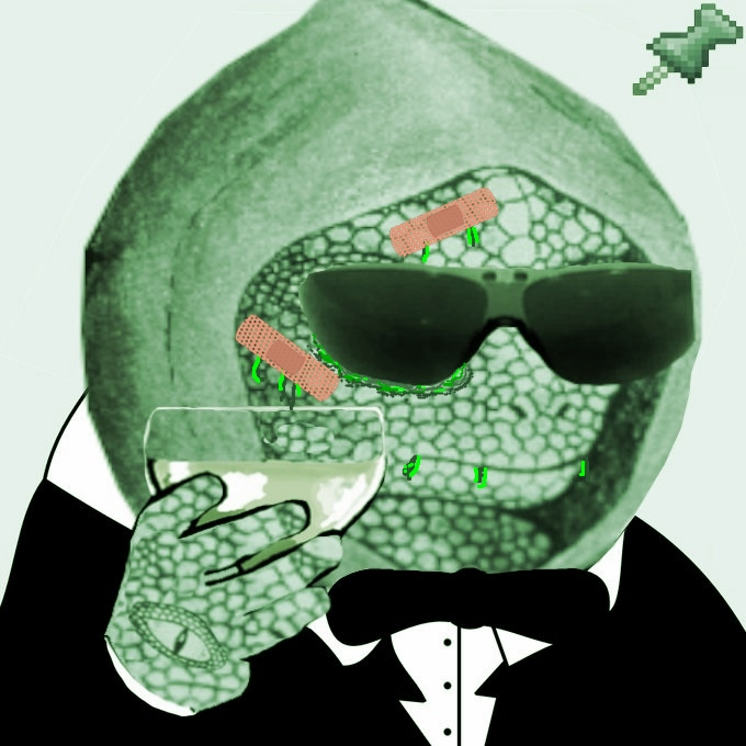 1702620612455219.webp