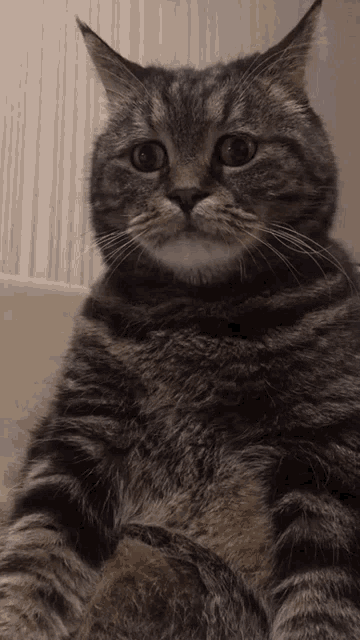 1702742746049331.gif