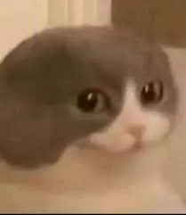 1702854461403204.jpg