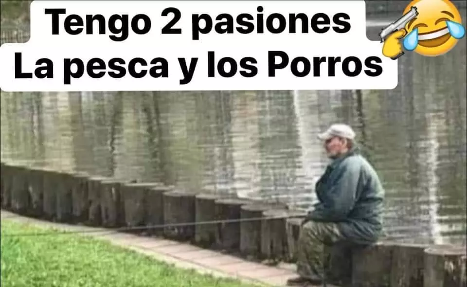 1704262139687.webp