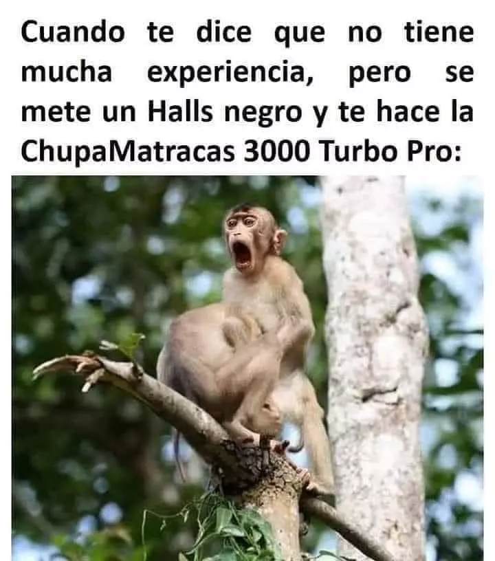 1704262480408.webp