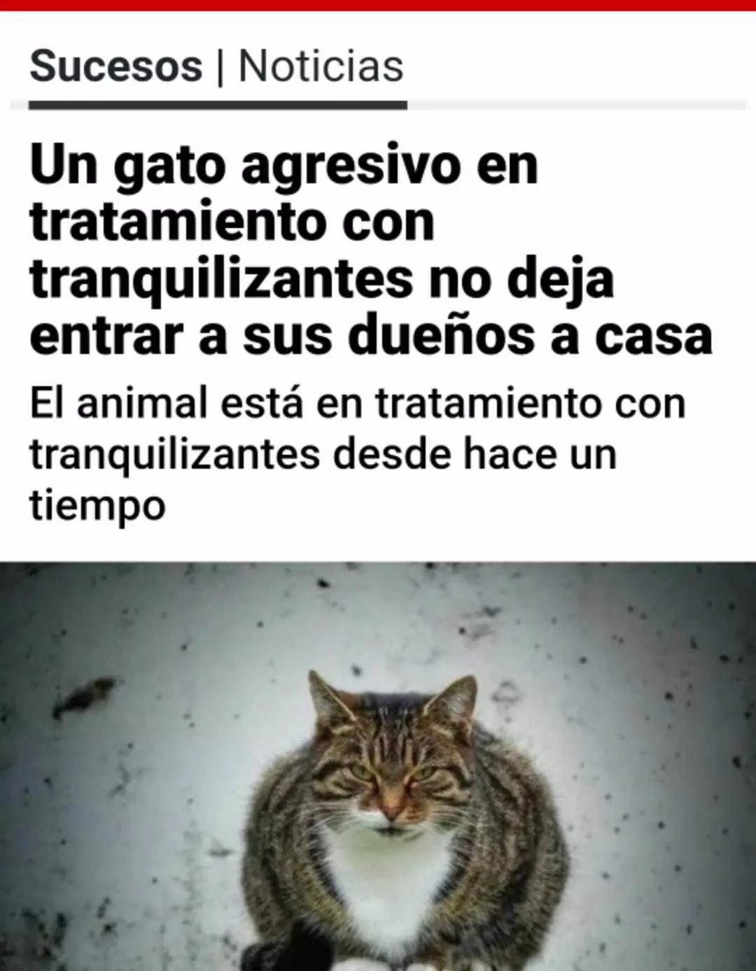 1704381668389.webp