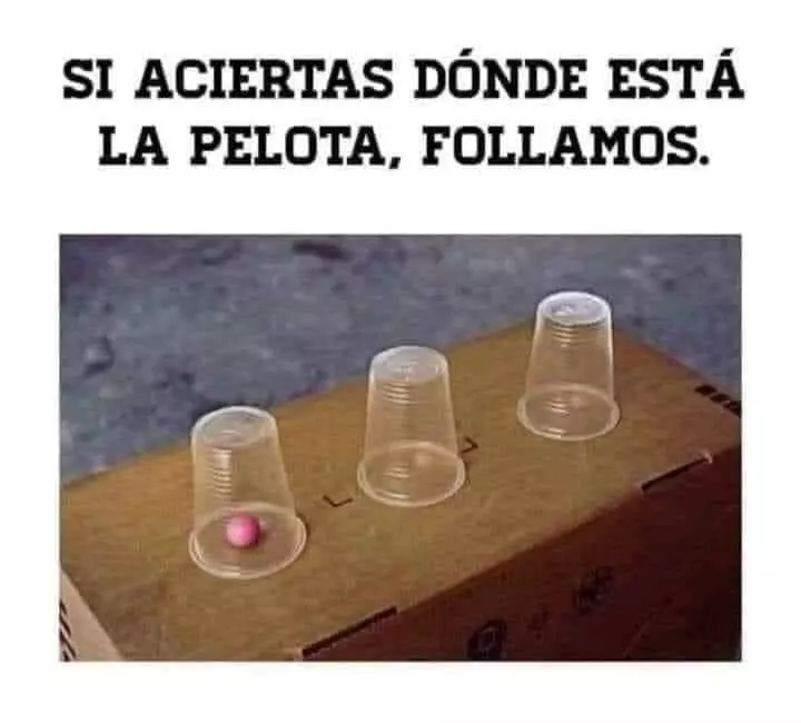 1704444124907.webp