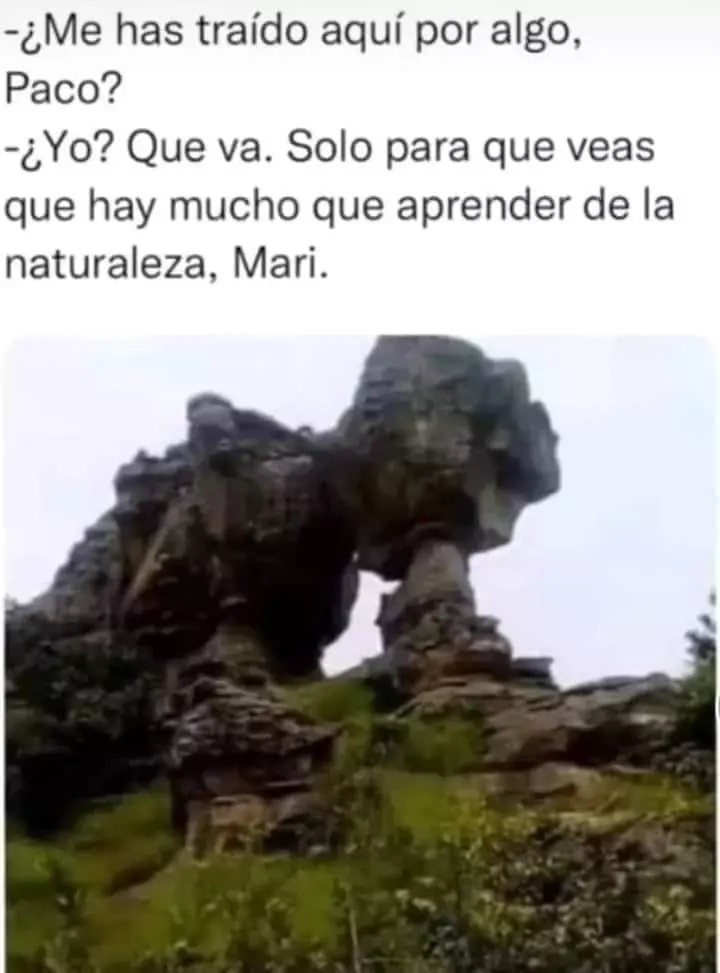 1704558762779.webp