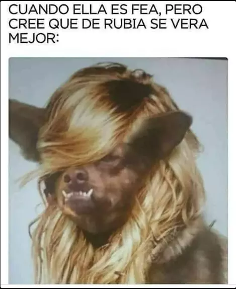 1704616601599.webp