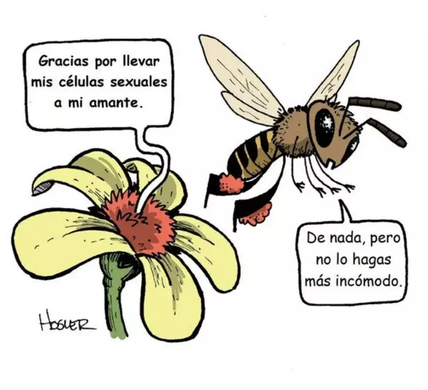 1704666639694.webp
