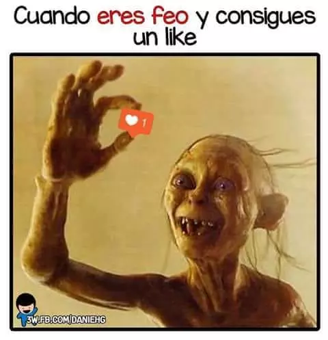 1704904729680.webp
