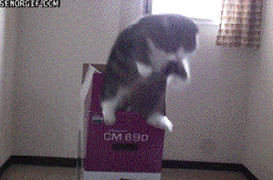 1706147357029002.gif