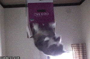 1706147439132070.gif
