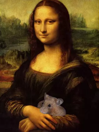1707562550287.webp