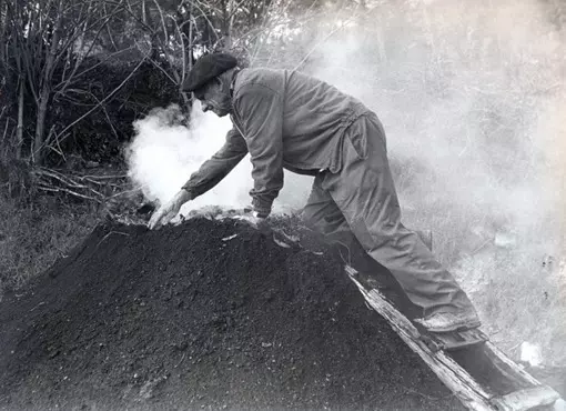 1710947367023.webp