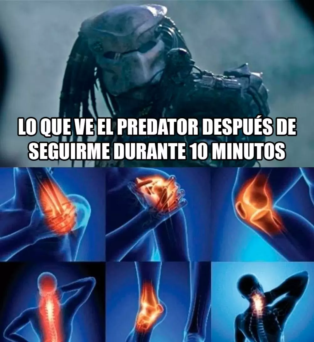 1711394479292.webp