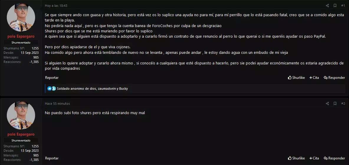 1711565320465.webp