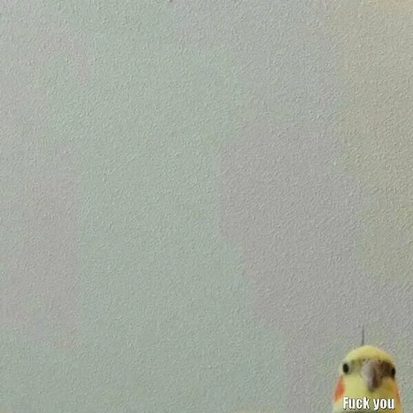 1712332820000-1712357106913.webp