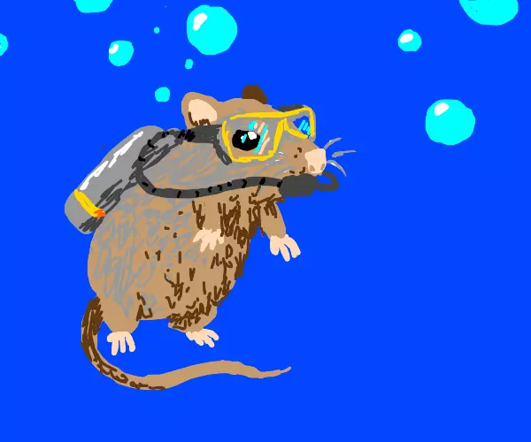 1714396076233.webp