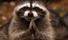 1714405819528.gif