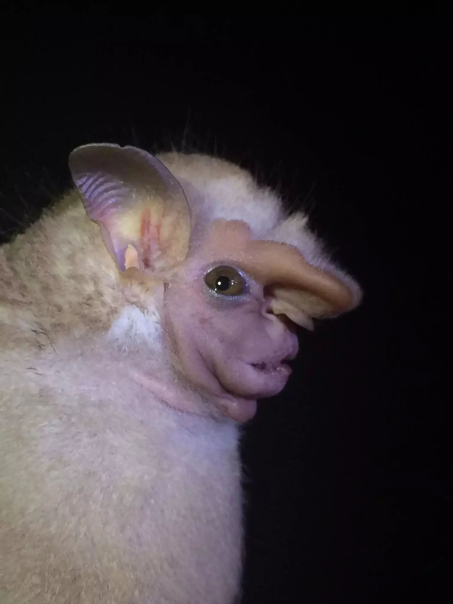 1714415393376.png