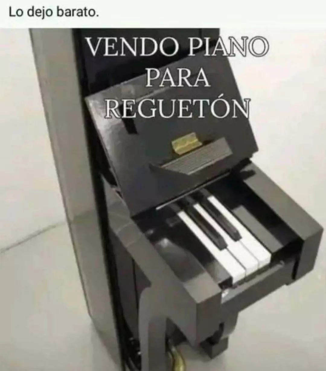 1714891458171.webp