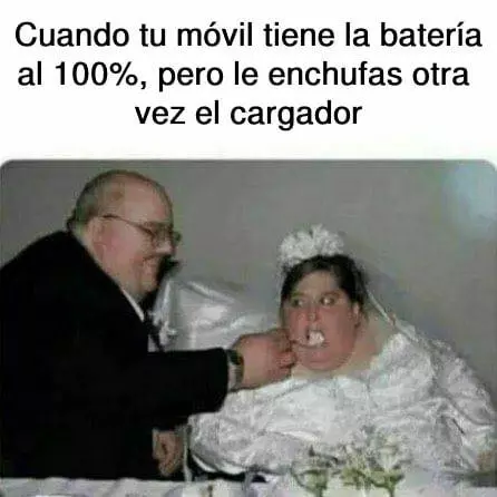 1715115039692.webp